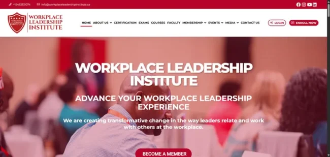 LMS (Learning Management System)