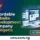 Affordable Website Development Company